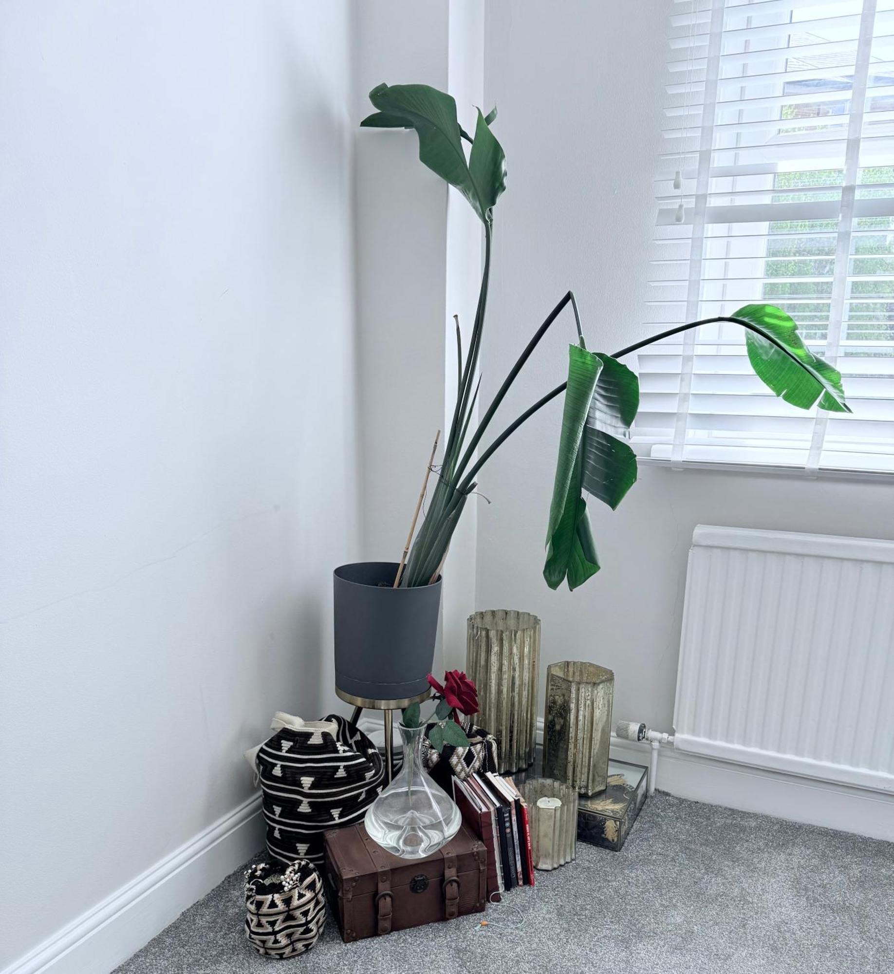 Bright And Modern Flat Near Portobello Road And The Canal 伦敦 外观 照片